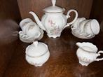 Prachtig Vintage Porseleinen Theeservies met Bloemmotief, Antiek en Kunst, Antiek | Servies compleet, Ophalen