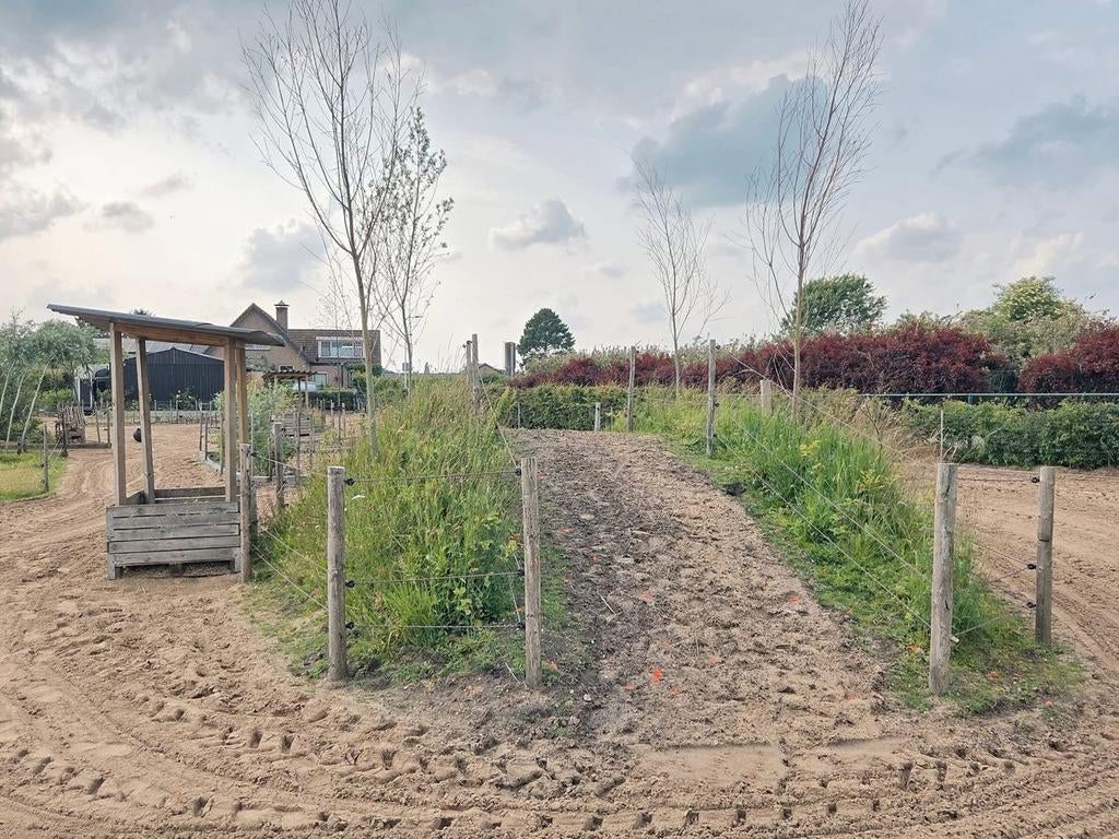 Gezocht: stuk grond te huur voor paarden (7000 m²)