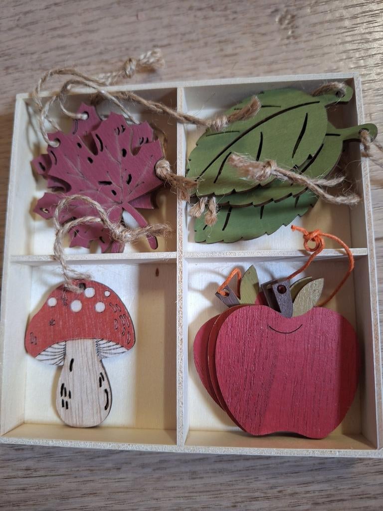 Hangers, Ophalen of Verzenden, Nieuw, Overige thema's