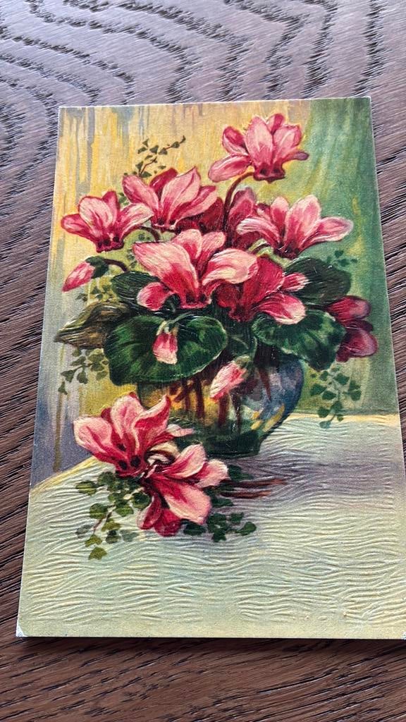 Pot cyclamen, penseelstreken., Ophalen, Voor 1920, Ongelopen, Overige thema's