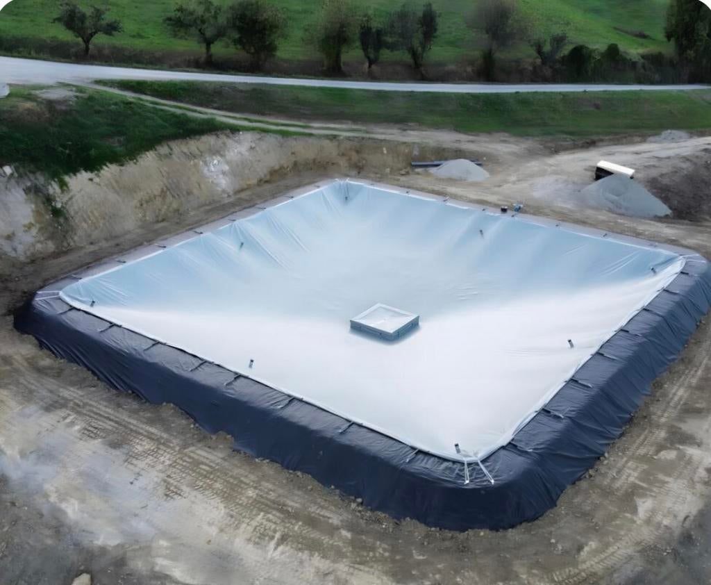 Alligater mestzak, Dieren en Toebehoren, Ophalen, Vee