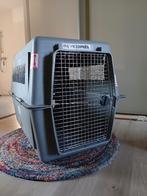 Honden Reisbench XXL, Ophalen, Gebruikt