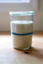 Zuurdesem starter, Diversen, Levensmiddelen, Ophalen of Verzenden