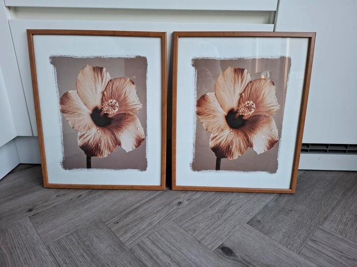 Set van 2 lijsten met poster, Huis en Inrichting, Woonaccessoires | Lijsten, Zo goed als nieuw, 50 tot 75 cm, Minder dan 50 cm