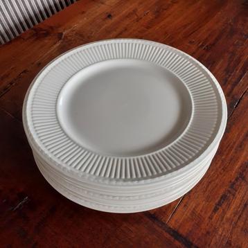 Wedgwood EDME Dinerborden met ietsje gebruikssporen  beschikbaar voor biedingen