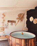 Lay Z Spa AirJet Freeze Shield pomp + jacuzzi, Ophalen, Gebruikt, Pomp