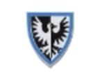 Lego Castle Schild Black Falcons Driehoekig Blauw 3846px9, Kinderen en Baby's, Speelgoed | Duplo en Lego, Ophalen of Verzenden