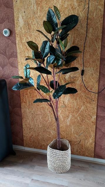 Kunst boom beschikbaar voor biedingen