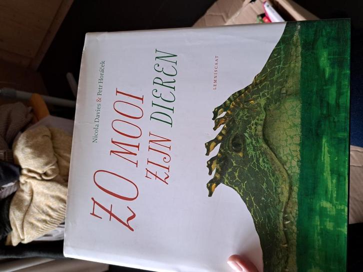 Nicola Davies - Zo mooi zijn dieren, Boeken, Prentenboeken en Plaatjesalbums, Zo goed als nieuw, Ophalen of Verzenden