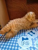 Zachte rode poes / kat knuffel 33 cm groot, Kinderen en Baby's, Speelgoed | Knuffels en Pluche, Ophalen of Verzenden, Poes
