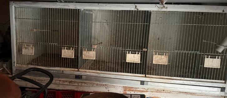 Kweekkooi aluminium/ trespa, Dieren en Toebehoren, Vogels | Hokken en Kooien, Broedkooi of Kweekkooi, Aluminium, Ophalen