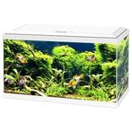 Nieuw Wit Ciano Aquarium 60 van 60x 30 x 33.5 cm, Dieren en Toebehoren, Vissen | Aquaria en Toebehoren, Ophalen of Verzenden, Nieuw