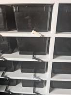 Braplast rack slot, Dieren en Toebehoren, Reptielen en Amfibieën | Toebehoren, Verzenden, Nieuw, Terrarium of Paludarium