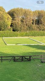 Dressuurring hout 20x60, Dieren en Toebehoren, Toebehoren