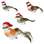 WINTERSE VOGELTJES