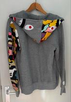 Bathing Ape Hoodie, Ophalen of Verzenden, Gedragen, Overige maten, Grijs