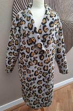 Prachtige oversized jas Aaiko, M, Ophalen of Verzenden, Zo goed als nieuw, Maat 38/40 (M), Grijs