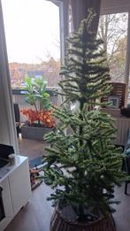 Kerstboom kunst, Ophalen