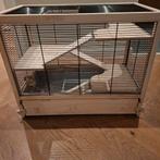 Hamster kooi Ferplast inclusief veel accesoires, Ophalen, Zo goed als nieuw, Hout, Overige typen