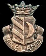 Ameland gemeentewapen speld- zilverkleur, Verzamelen, Speldjes, Pins en Buttons, Verzenden, Nieuw, Stad of Land, Speldje of Pin