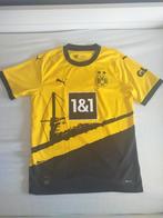 Borussia Dortmund thuisshirt 2023/24 - maat M, Verzenden, Zo goed als nieuw, Voetbal