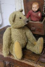 Lieve beer, Ophalen of Verzenden
