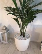 Elho bloempot brussels rond wielen Ø40cm wit, Tuin en Terras, Bloembakken en Plantenbakken, Ophalen, Kunststof, Gebruikt, Binnen