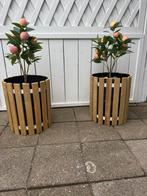 Bloembak rond, Ophalen, Kunststof, Minder dan 30 cm, Minder dan 60 cm