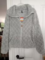 NIeuw: leuk lichtgrijs en héél zacht vest/jasje - maat S, Nieuw, Ophalen of Verzenden, Maat 36 (S), Grijs