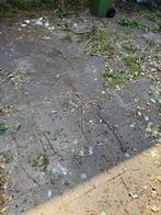 GRATIS - tegels ongeveer 59x38cm, Ophalen, Gebruikt, 10 m² of meer, Beton