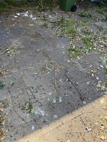 GRATIS - tegels ongeveer 59x38cm beschikbaar voor biedingen