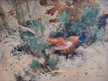 Piet van der Hem, aquarel, incl. lijst 60x76cm, 650,- euro beschikbaar voor biedingen