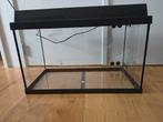 Juwel Aquarium 60 liter, Ophalen, Gebruikt, Leeg aquarium