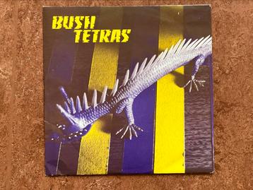 Bush Tetras - too many Creeps