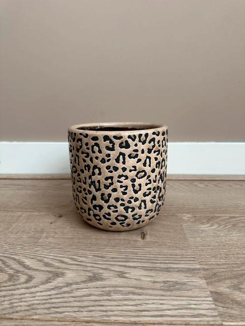 Bloempot panter, Tuin en Terras, Bloempotten, Gebruikt, Aardewerk, Binnen, Balkon, Minder dan 40 cm, Minder dan 25 cm, Rond, Ophalen