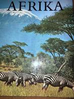 Boek  Afrika/Leslie Brown (17), Leslie Brown, Ophalen of Verzenden, Zo goed als nieuw, Natuur algemeen