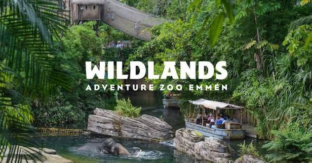 Wildlands Tickets, Tickets en Kaartjes, Recreatie | Dierentuinen, Drie personen of meer, Ticket of Toegangskaart