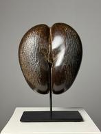 Coco de Mer op custom standaard, Antiek en Kunst, Ophalen