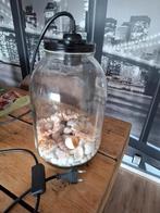 Leuke tafellamp, Huis en Inrichting, Lampen | Tafellampen, Ophalen, Zo goed als nieuw, Minder dan 50 cm