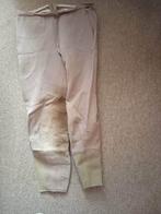 Paardrijbroek dames, Gebruikt, Dressuur, Dames, Onderkleding