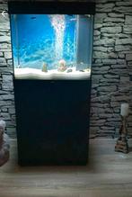 Juwel 120l Aquarium met onderkast, Dieren en Toebehoren, Vissen | Aquaria en Toebehoren, Gebruikt, Ophalen, Gevuld zoetwateraquarium