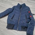 Dames winterjas Superdry, Kleding | Dames, Ophalen, Zo goed als nieuw, Maat 38/40 (M), Blauw