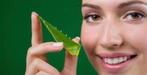 Biologische Aloe Vera plant gel maken gezichtsverzorgen, Ophalen of Verzenden, Nieuw, Gehele gezicht, Verzorging
