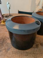 2x Gusto zelfwaterende plantenpot, Huis en Inrichting, Ophalen of Verzenden, Halfschaduw, Minder dan 100 cm
