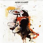 CD Peter Doherty - Grace/Wastelands, Ophalen of Verzenden, Zo goed als nieuw