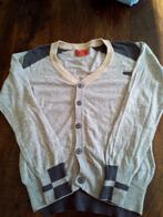 CKS grijs vest maat 8  zo goed als nieuw,, Trui of Vest, Ophalen of Verzenden, Jongen, CKS