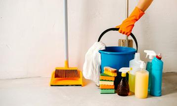 Betrouwbare huishoudelijke hulp beschikbaar! beschikbaar voor biedingen