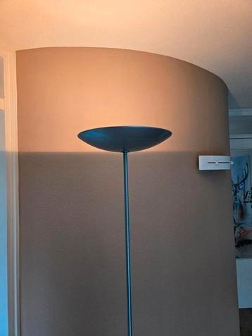 Design halogeen vloerlamp met dimmer  beschikbaar voor biedingen