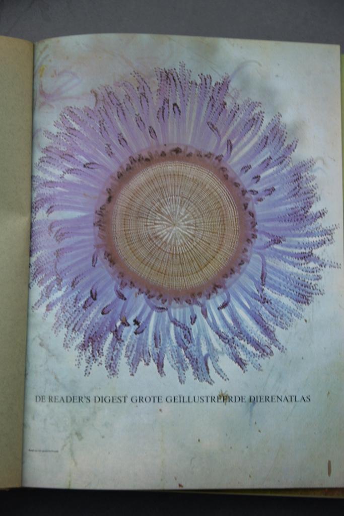 Grote geïllustreerde dierenatlas., Boeken, Dieren en Huisdieren, Zo goed als nieuw, Overige diersoorten, Ophalen of Verzenden