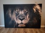 Schilderij Leeuw op canvas, Ophalen, Zo goed als nieuw, Schilderij, 75 cm of meer